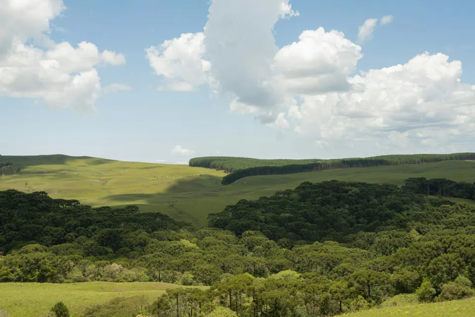 Serra, Serra Gaúcha, 2024